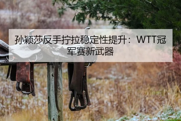 孙颖莎反手拧拉稳定性提升：WTT冠军赛新武器
