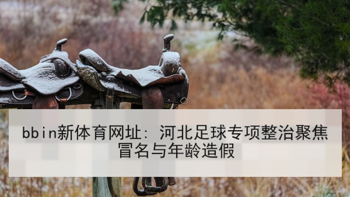 bbin新体育网址: 河北足球专项整治聚焦冒名与年龄造假