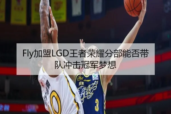 Fly加盟LGD王者荣耀分部能否带队冲击冠军梦想
